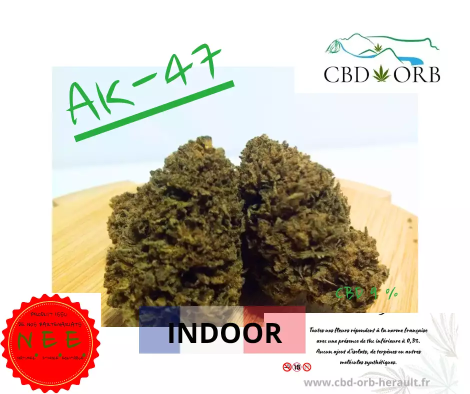 AK-47 indoor